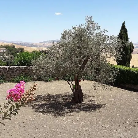 Donalegge Al Castellazzo Tenuta Don Ruggero